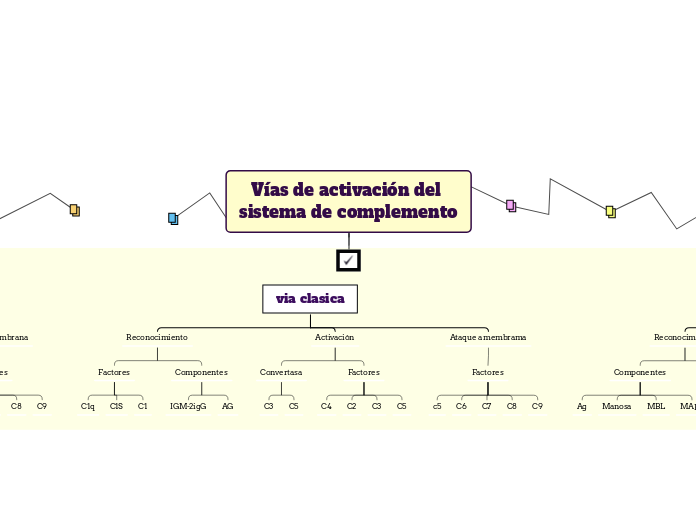 Vías de activación del sistema de complemento