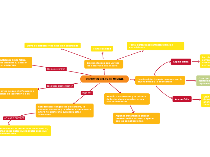 DEFECTOS DEL TUBO NEURAL