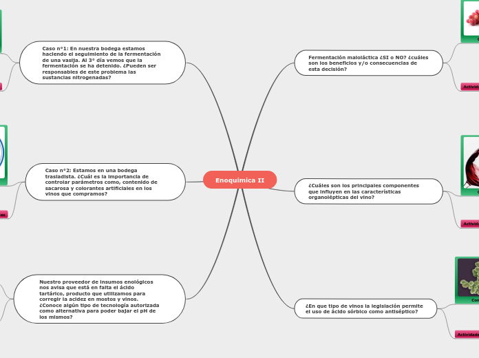 enoquímica II