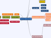 MAPA CONCEPTUAL CELULA