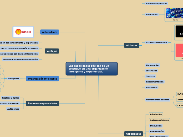 Las capacidades básicas de un ejecutivo en una organización inteligente y exponencial.