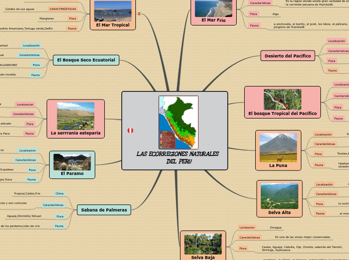 LAS ECORREGIONES NATURALES DEL PERU