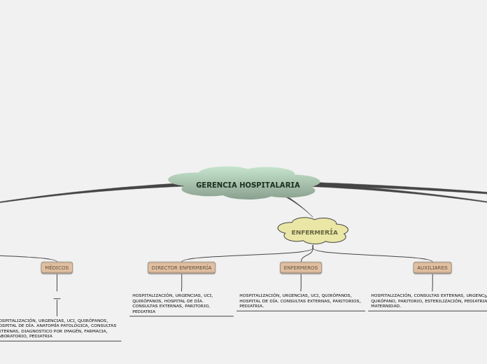 GERENCIA HOSPITALARIA