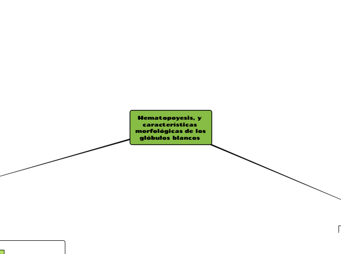 Hematopoyesis, y características morfológicas de los glóbulos blancos 