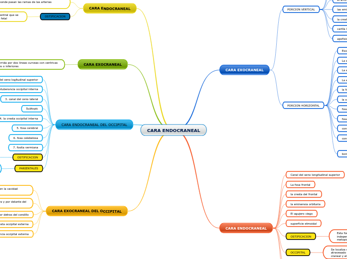 CARA ENDOCRANEAL