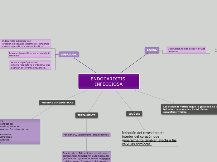 ENDOCARDITIS INFECCIOSA