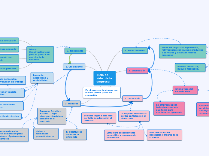 Ciclo de vida  de la empresa