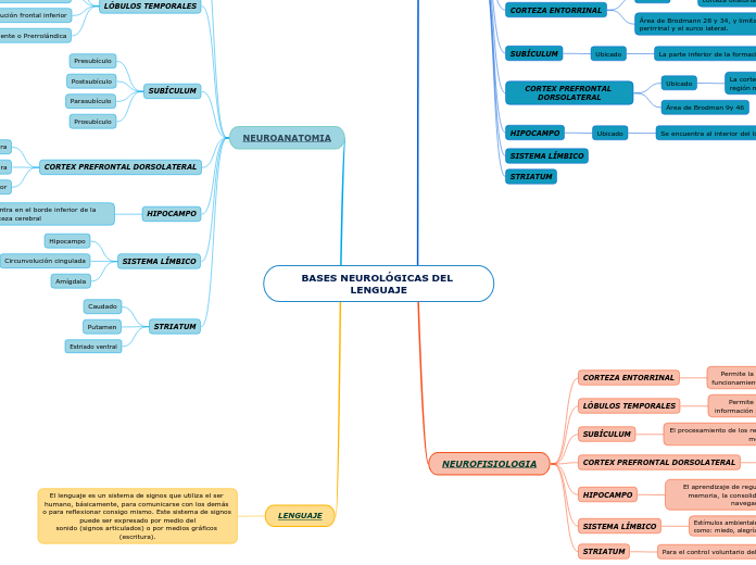 BASES NEUROLÓGICAS DEL LENGUAJE