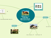 Evidencia 1.1 Parametros Reproductivos en Bovinos de Carne