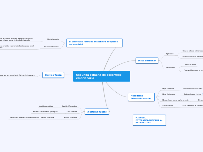 segunda semana de desarrollo embrionario