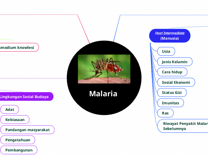 Malaria 