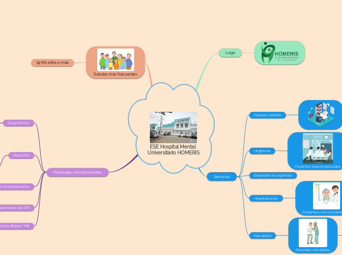 ESE Hospital Mental Universitario HOMERIS