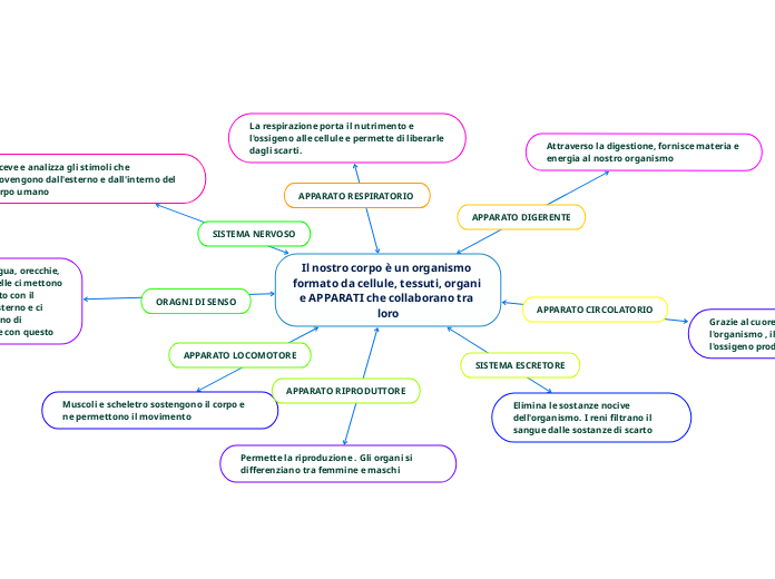 Il nostro corpo è un organismo formato da cellule, tessuti, organi e APPARATI che collaborano tra loro