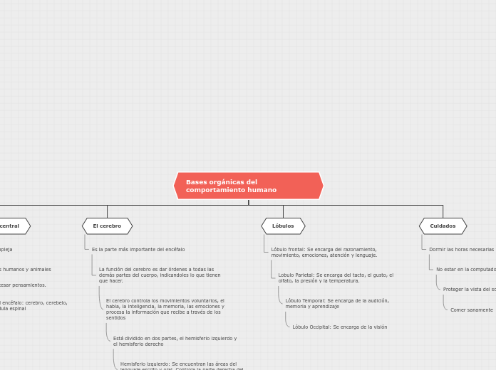 Organigrama arbol