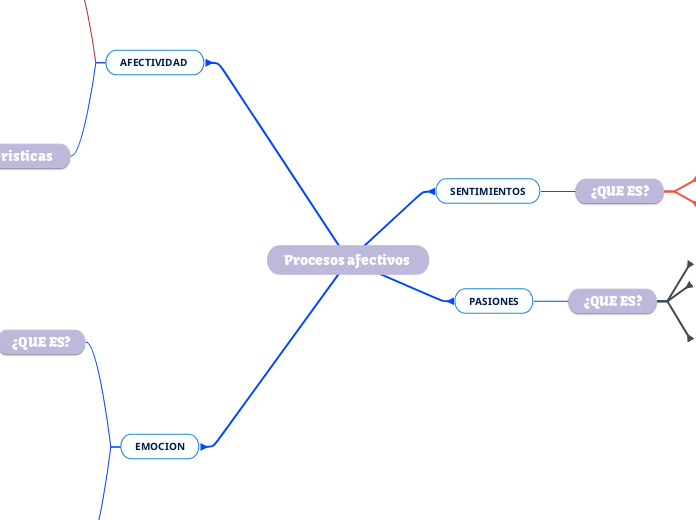 Procesos afectivos 