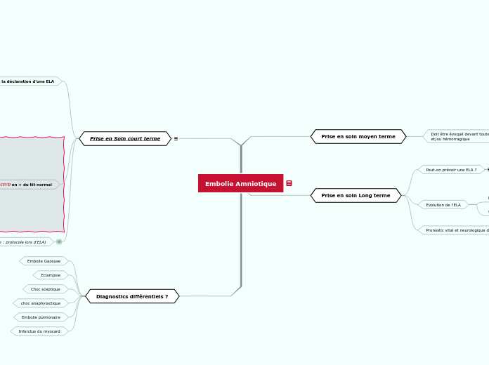 Mindmap embolie amniotique