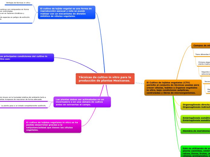 Técnicas de cultivo in vitro para la producción de plantas Mexicanas.