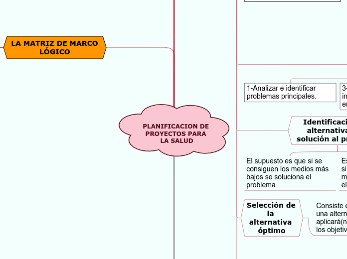 PLANIFICACION DE PROYECTOS PARA LA SALUD