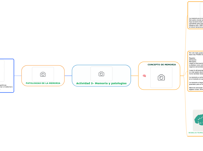 Actividad 3- Memoria y patolog