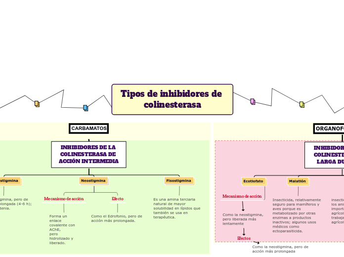 Tipos de inhibidores de colinesterasa