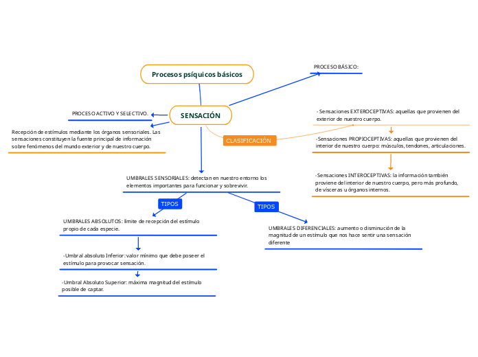 Procesos psíquicos básicos