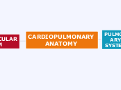 Anatomía cardiopulmonar