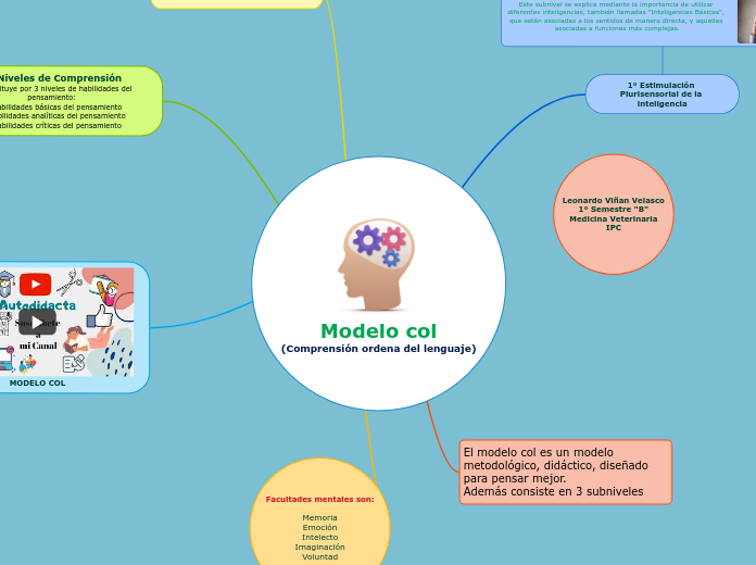 Modelo col
(Comprensión ordena del lenguaje)