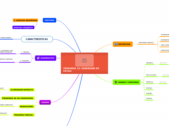 TRISOMIA 13: SINDROME DE       PATAU