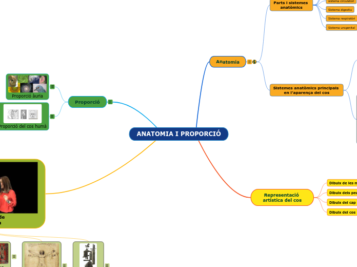 ANATOMIA I PROPORCIÓ