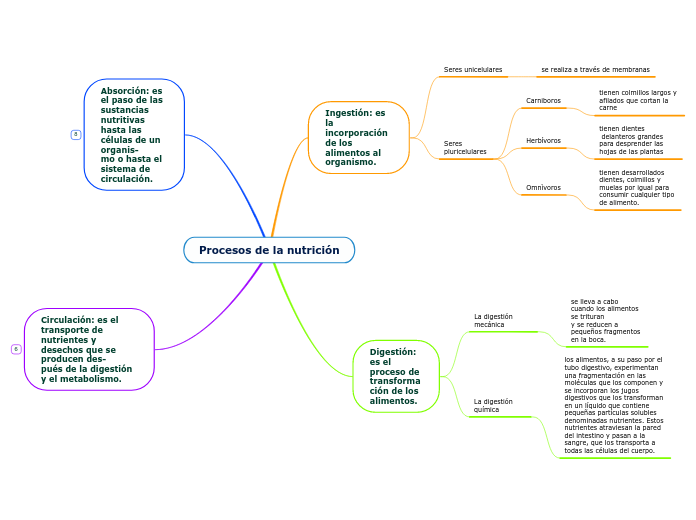 Procesos de la nutrición