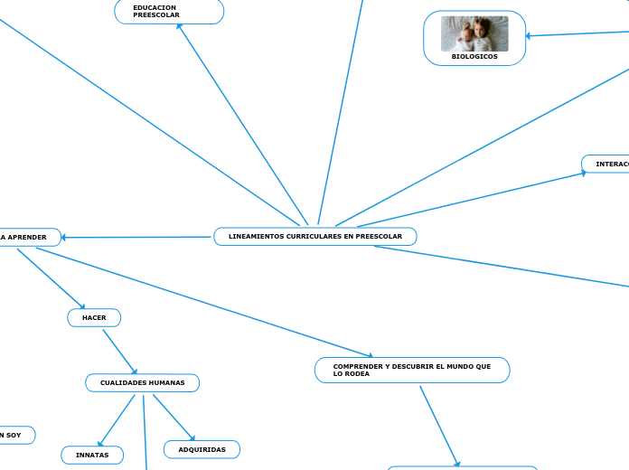 LINEAMIENTOS CURRICULARES EN PREESCOLAR