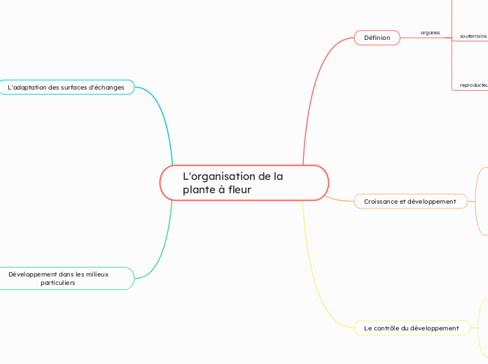 L'organisation de la plante à fleur 