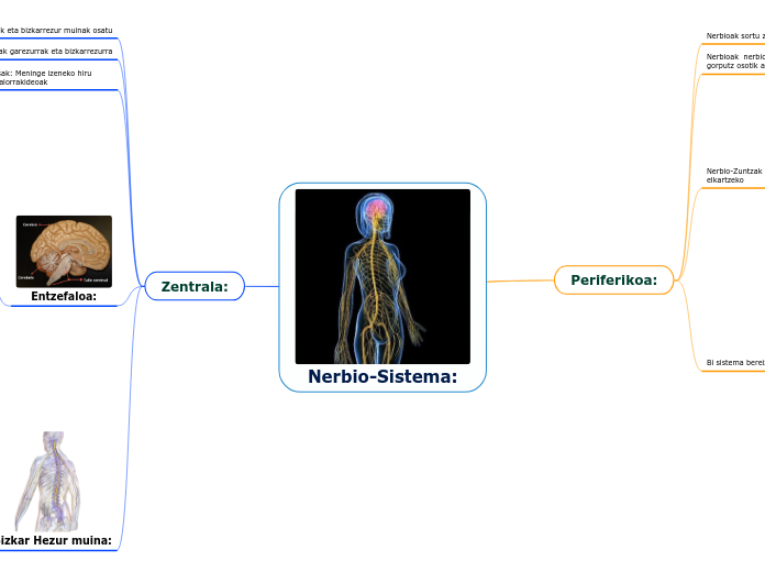 Nerbio-Sistema: