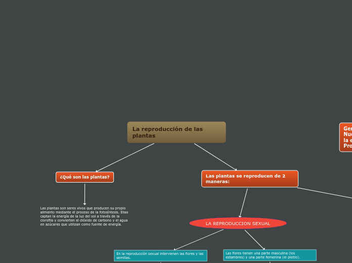 Organigrama arbol