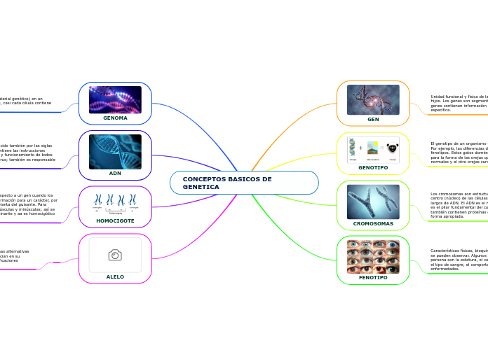 CONCEPTOS BASICOS DE GENETICA