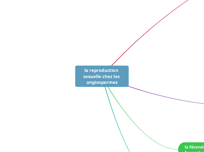 la reproduction sexuelle chez les angiospermes