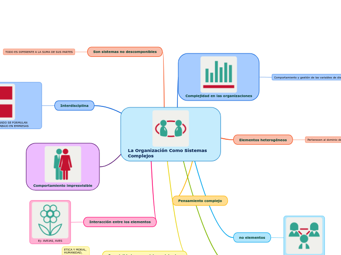 La Organización Como Sistemas Complejos