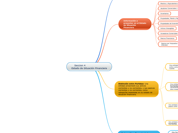 Seccion 4                       Estado de Situación Financiera