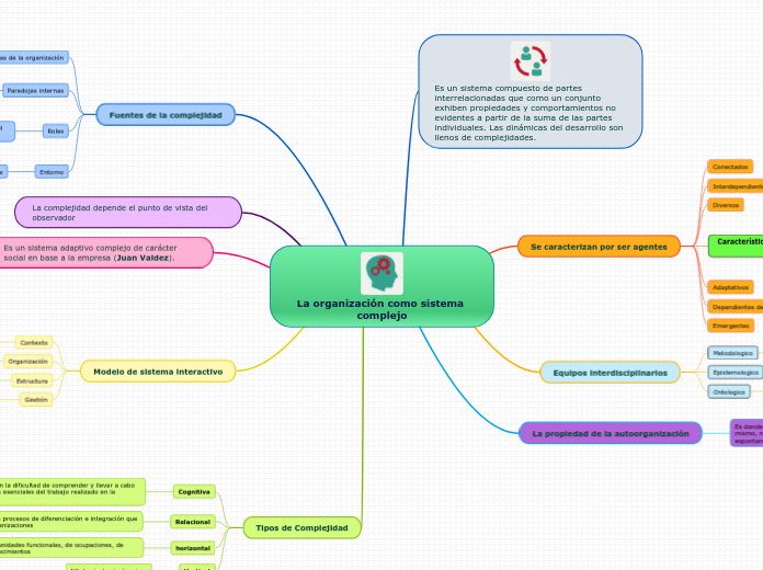 La organización como sistema complejo