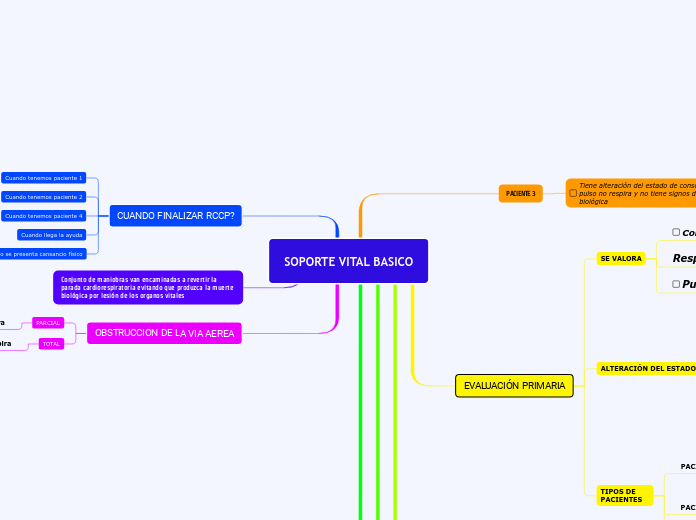 SOPORTE VITAL BASICO