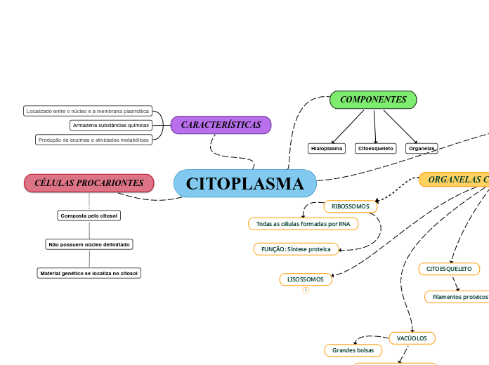 CITOPLASMA