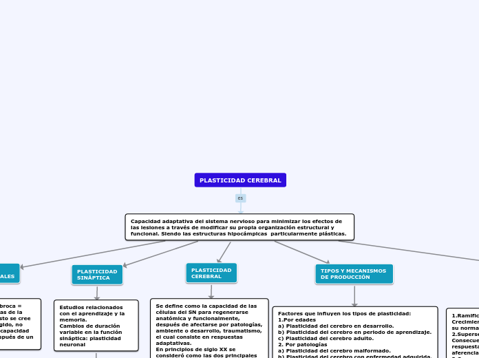 PLASTICIDAD CEREBRAL