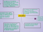 Sample Mind Map