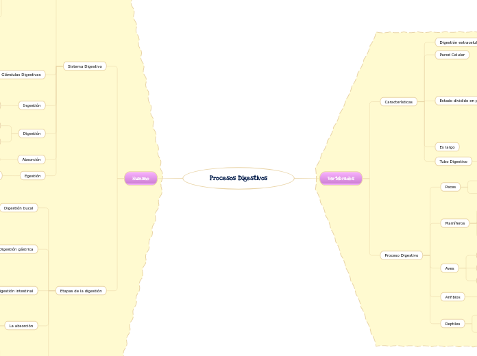 Procesos Digestivos
