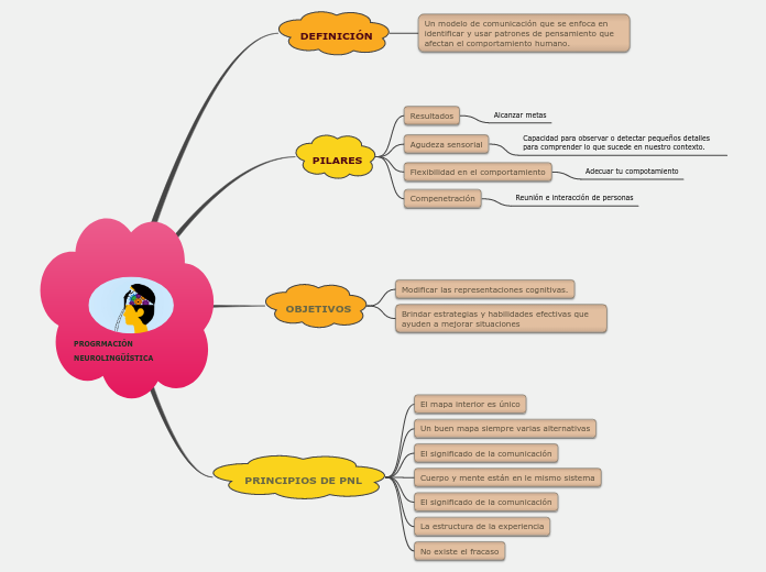 PROGRMACIÓN NEUROLINGÜÍSTICA
