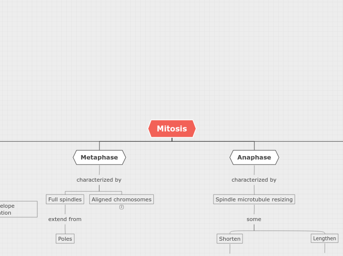 Organigram