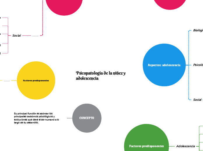 Psicopatología de la niñez y adolescencia