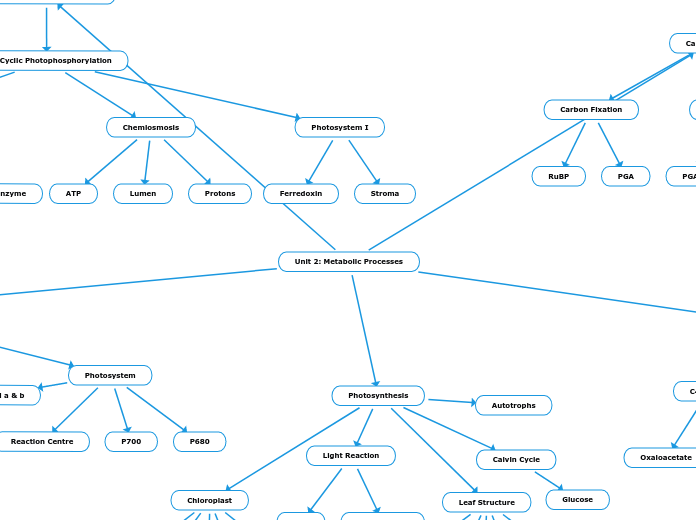 Unit 2: Metabolic Processes