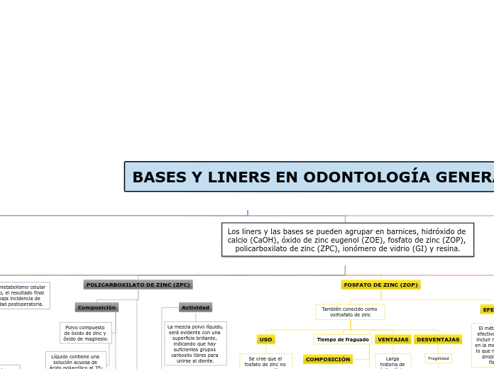 BASES Y LINERS