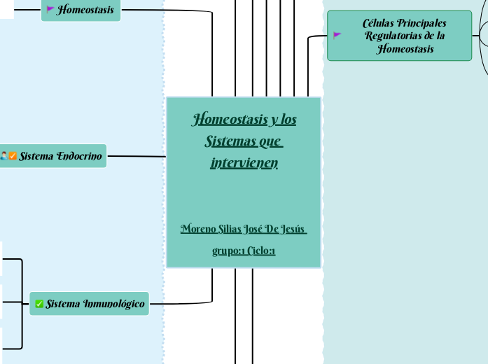 Homeostasis y los Sistemas que